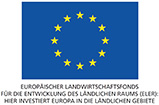 Logo EU